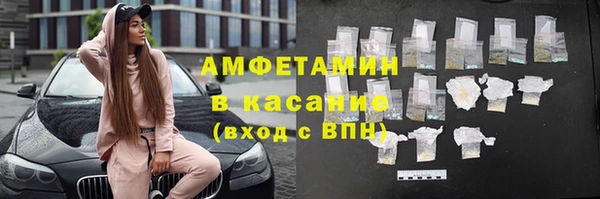 сатива Аркадак