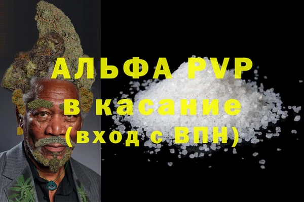 сатива Аркадак