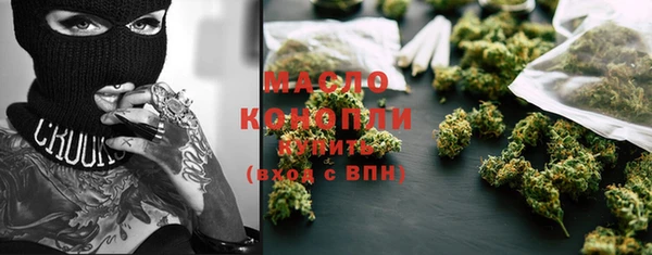 сатива Аркадак