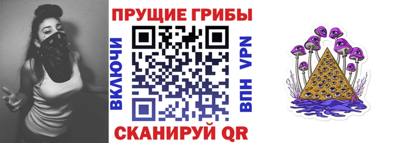 Галлюциногенные грибы Psilocybe  Приозерск 
