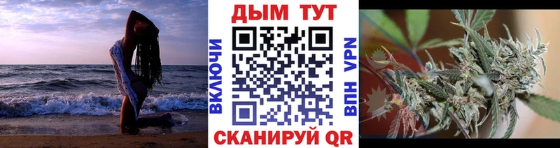 дарк нет телеграм  Приозерск  Конопля LSD WEED 